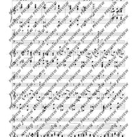 Trio D minor - Score and Parts