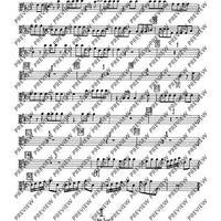Concerto D Major - Viola