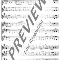 14 Easy Recorder Pieces - Performing Score