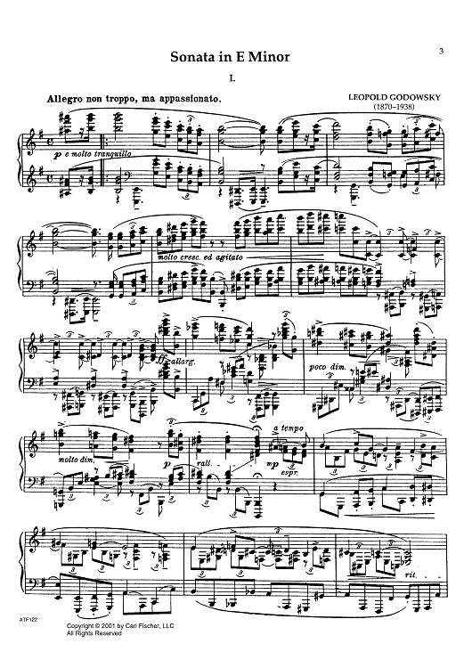Sonata in E Minor - 1st Movement