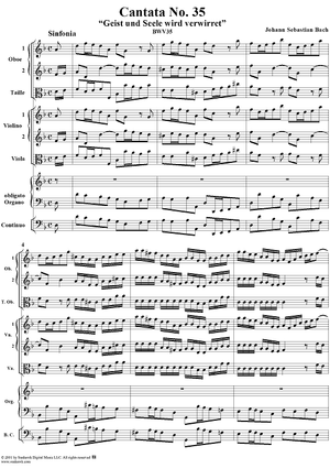 Cantata No. 35: Geist und Seele wird verwirret, BWV35