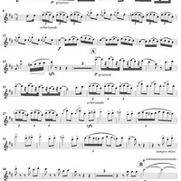 Spanish Dance in D Major, Op. 12, No. 5 - Flute