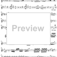 Sonata No. 3 in D Minor - Violin