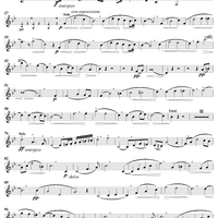 Horn Concerto No. 1 - Horn
