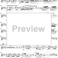Sonata No. 2 for Flute, Viola and Harp - Flute