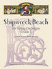 Shipwreck Beach - Violin 2
