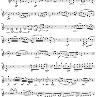Piano Trio No. 11 in G Major, "Kakadu Variations" - Violin