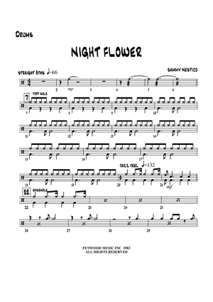 Night Flower - Drums