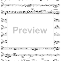 Trois Grands Duos, op. 87/3, flute 2