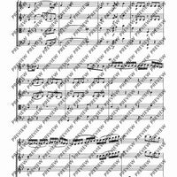 Concerto No. 2 F Major in F major - Score