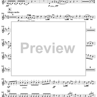 Serenade in D Minor, Op. 44, Movement 4 - Oboe 2