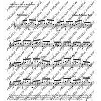 Flute Partita in A minor