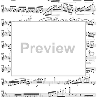 Concerto in D Major, Op. 6, Movement 1 - Violin