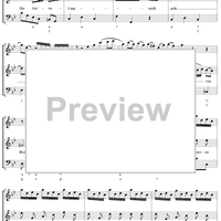Erschrekke doch - No. 5 from Cantata No. 102 - BWV102
