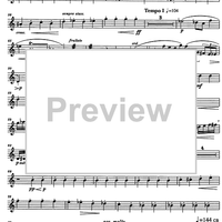 Divertimento Op.69 - Flute