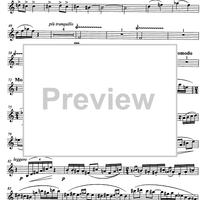 Musichetta - Saxophone in B-flat (soprano/tenor)