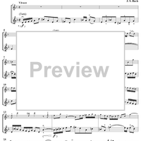 Concerto for 2 Violins in D Minor BWV.1043, 1st Mvt. Violin II