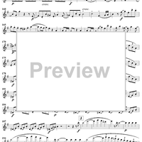 Grand Duo in D Major, Op. 39, No. 1 - Flute 2