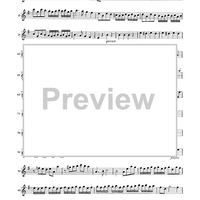 Double Concerto for Recorder and Flute in E minor - Violin 1