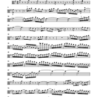 Brandenburg Concerto No. 4 - Viola