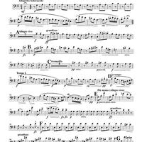Slavonic Dance No. 2, Op. 46 - Trombone