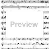 Concerto No. 4 Eb Major KV495 - Horn