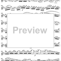 Grand Duo in D Major, Op. 39, No. 3 - Flute 1