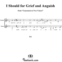 I Should for Grief and Anguish