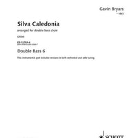 Silva Caledonia - Double Bass 6