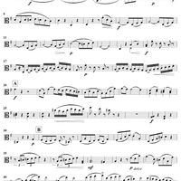 Duet No. 1 in G Major - Viola 2