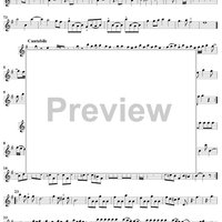 Quartet in E minor - Flute 1/Violin 1