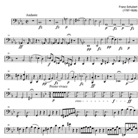 String Quartet No. 1 g minor D18 - Cello