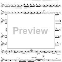 Concerto in B Minor, Op. 3, No. 10, RV580 from "L'Estro Armonico" - Violin 4