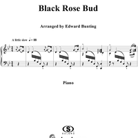 Black Rose Bud