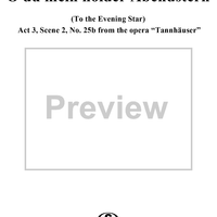 Tannhäuser, WWV70, Act 3,  Scene 2,No. 25b - O du mein holder Abendstern (The Evening Star)