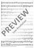 Concertino - Tenor Recorder/violin Iii