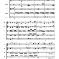 Allegro Molto from Symphony No. 40 - Score