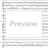 Horn Concerto No. 3 in E-flat Major, K447