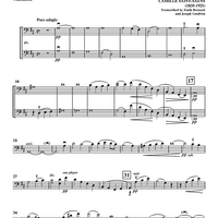 Adagio from Symphony No. 3 (“Organ”) - Violoncello