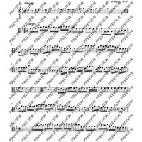 Concerto in G Major - Score and Parts