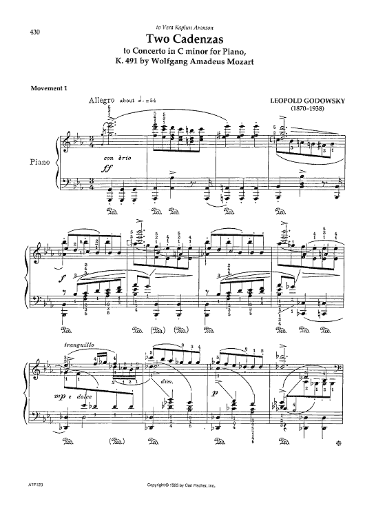 Movement 1 (Concerto in C minor for Piano, K. 491 by Wolfgang Amadeus Mozart)