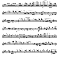 Zapateado Op.23 - Score