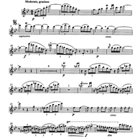 Kleine Suite (Little Suite) - Flute