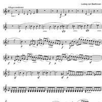 String Quintet C Major Op.29 - Violin 2