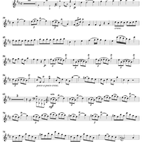 Concerto No. 4 in D Major - Flute