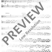 Concerto I F minor - Viola