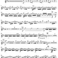 Concerto in B Minor, Op. 3, No. 10, RV580 from "L'Estro Armonico" - Violin 3