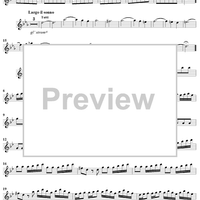 Flute Concerto in G Minor ("La Notte")  - Op. 10, No. 2 - RV 439 - Flute