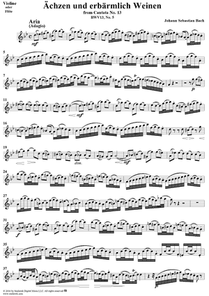 "Ächzen und erbärmlich Weinen", Aria, No. 5 from Cantata No. 13: "Meine Seufzer, meine Tränen" - Violin or Flute