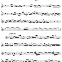 Flute Concerto in G Minor ("La Notte")  - Op. 10, No. 2 - RV 439 - Flute